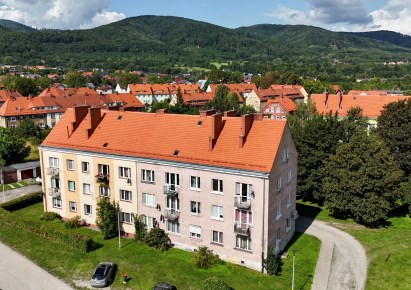 mieszkanie na sprzedaż - Bielawa, Polna